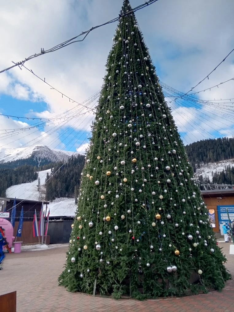 Мероприятия