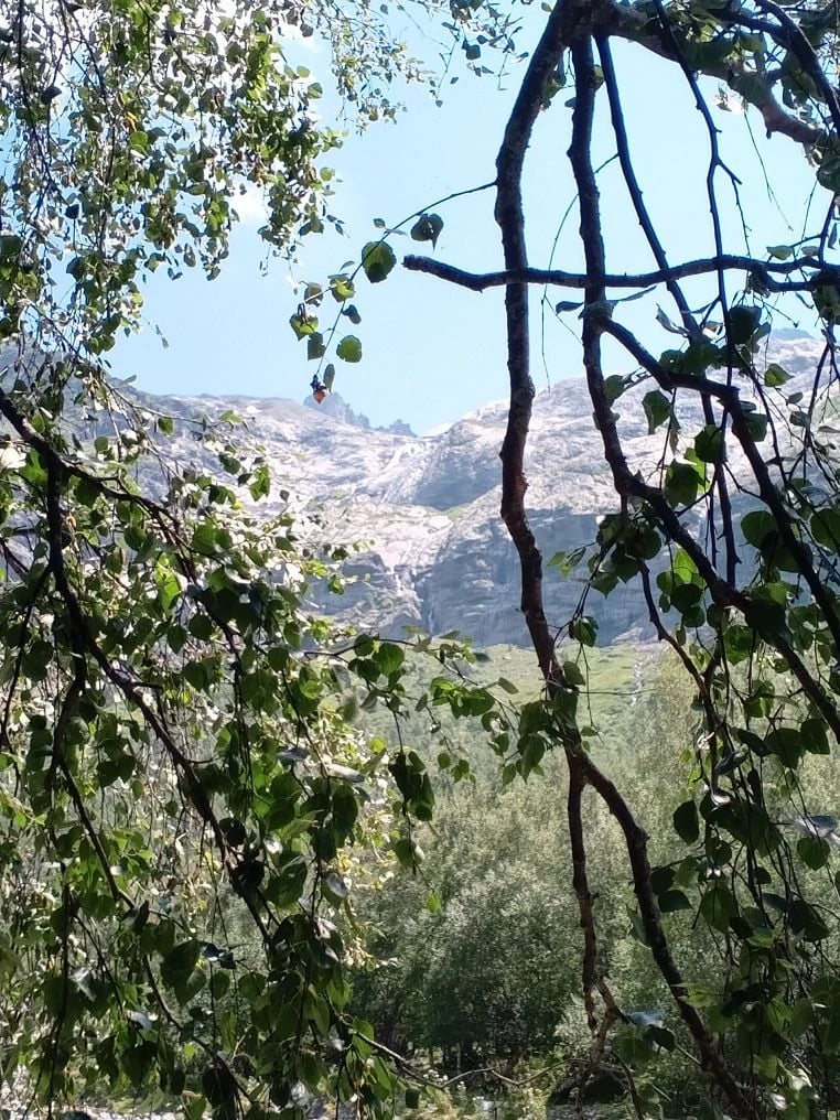 Природа Архыза