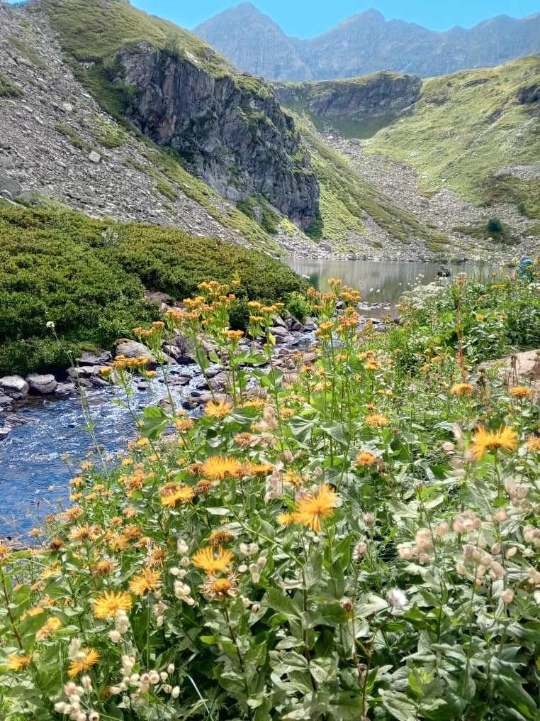 Природа Архыза